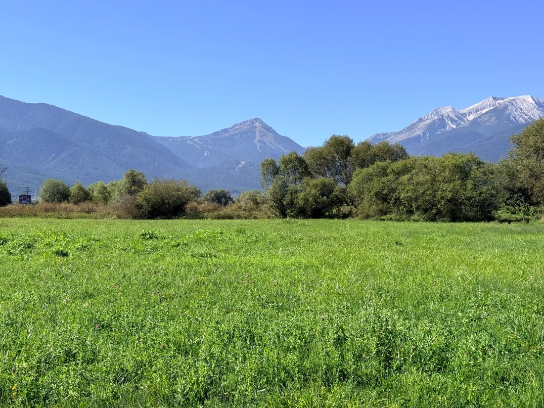 land for sale in Bansko – level 1,887 sq m plot off the Banya road