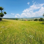 land-gorno-kraishte-eleshnitsa