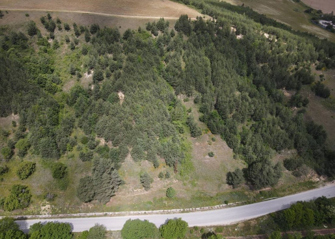 Forest land in Banya, Razlog – aerial view of the 21-decare coniferous plot