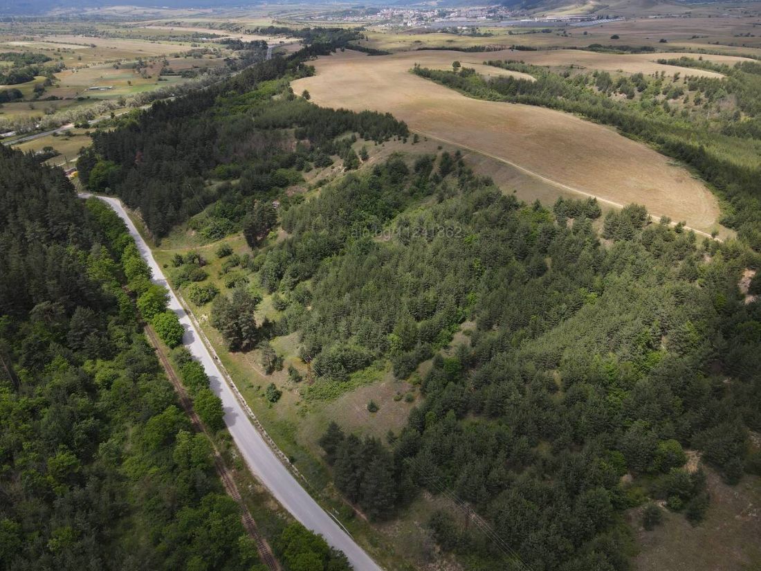 banyq-forest-land-for-sale-2