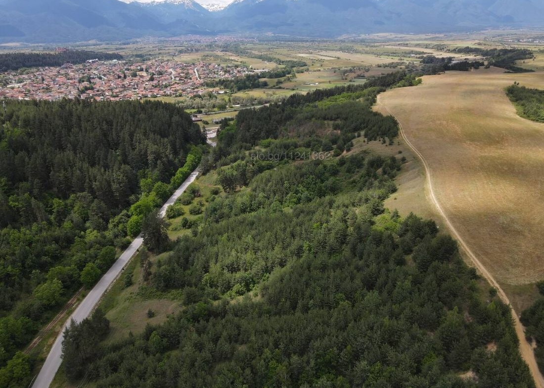 Forest land in Banya, Razlog – aerial view of the 21-decare coniferous plot