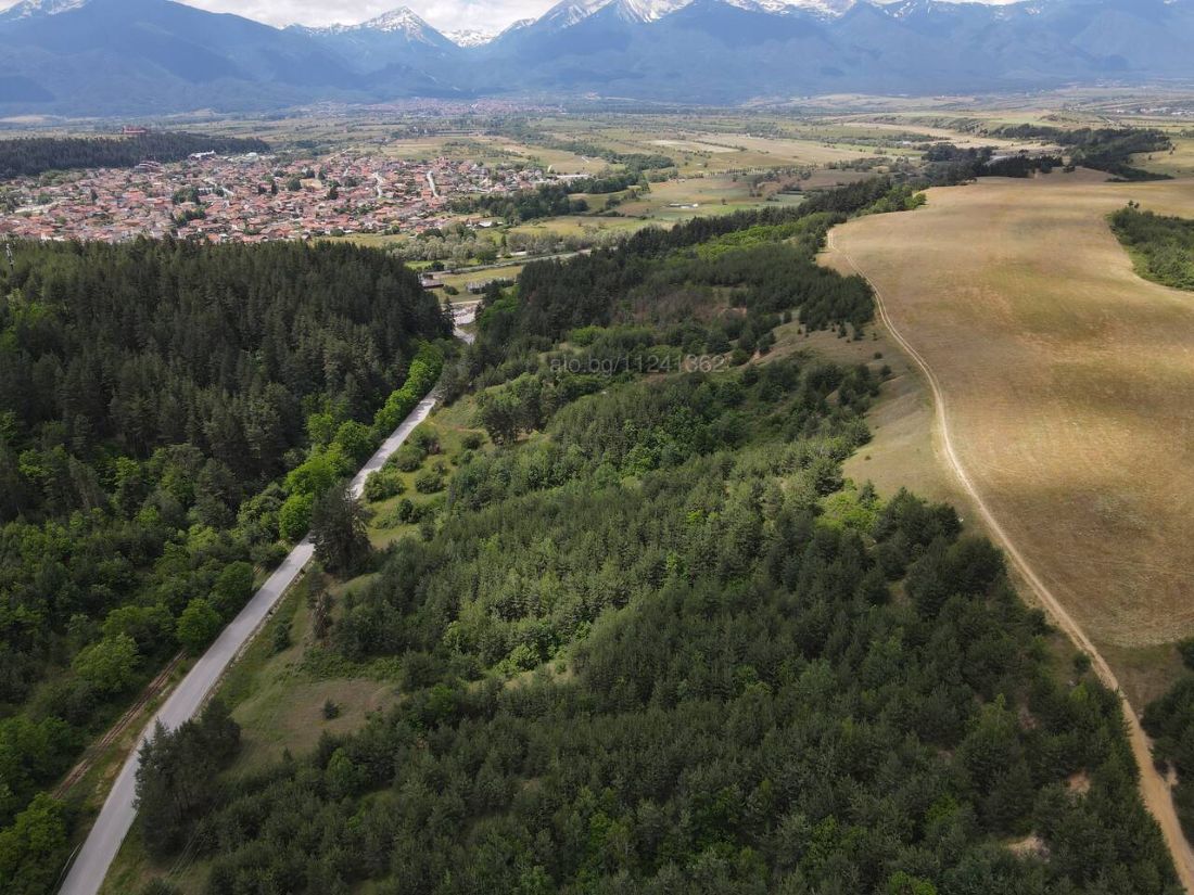 Forest land in Banya, Razlog – aerial view of the 21-decare coniferous plot