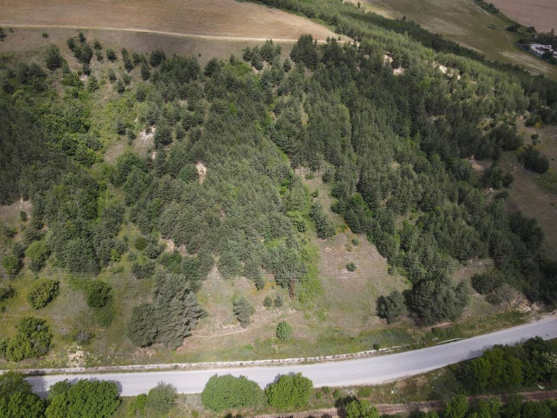 banyq-forest-land-for-sale Forest land in Banya, Razlog – aerial view of the 21-decare coniferous plot